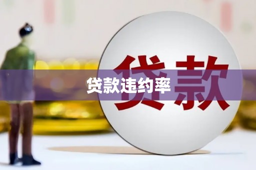 王益贷款违约率