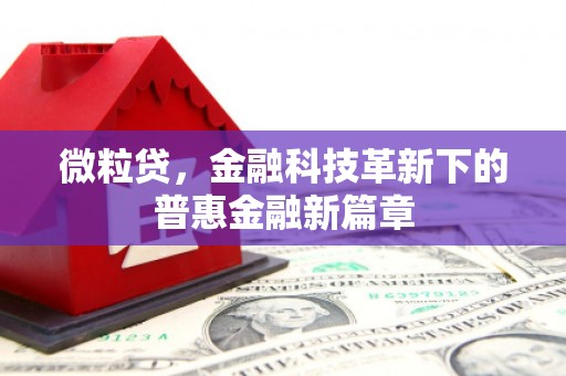 王益微粒贷，金融科技革新下的普惠金融新篇章