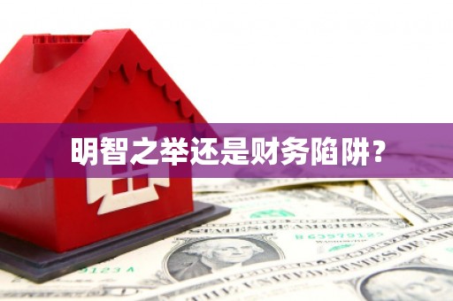 王益明智之举还是财务陷阱？
