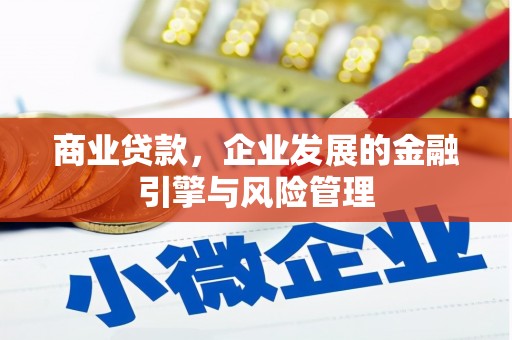 王益商业贷款，企业发展的金融引擎与风险管理