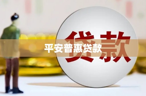 王益平安普惠贷款