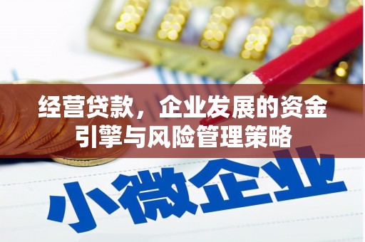 王益经营贷款，企业发展的资金引擎与风险管理策略
