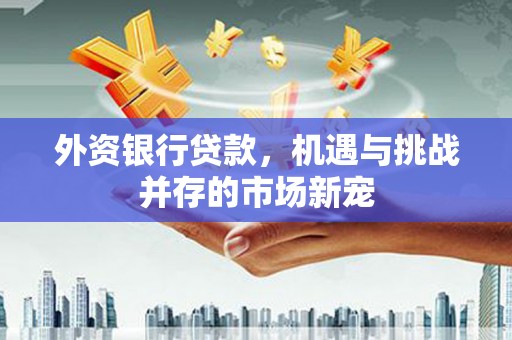 王益外资银行贷款，机遇与挑战并存的市场新宠