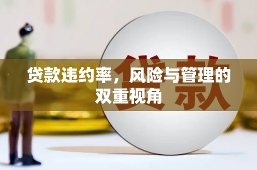 王益贷款违约率，风险与管理的双重视角