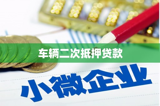王益车辆二次抵押贷款