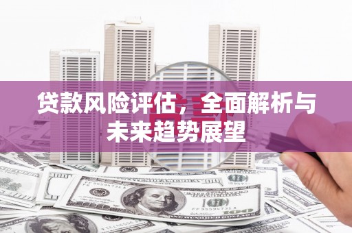 王益贷款风险评估，全面解析与未来趋势展望