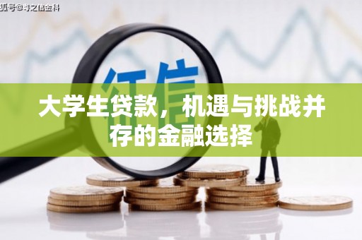 王益大学生贷款，机遇与挑战并存的金融选择