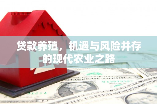 王益贷款养殖，机遇与风险并存的现代农业之路