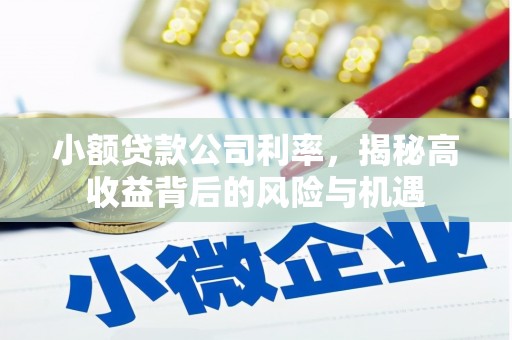 王益小额贷款公司利率，揭秘高收益背后的风险与机遇