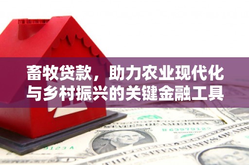 王益畜牧贷款，助力农业现代化与乡村振兴的关键金融工具