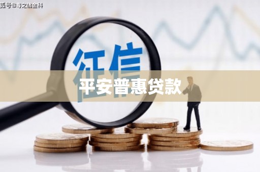 王益平安普惠贷款