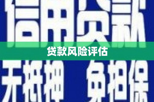王益贷款风险评估