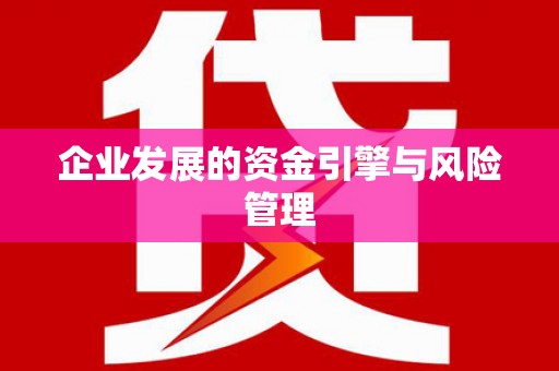 王益企业发展的资金引擎与风险管理
