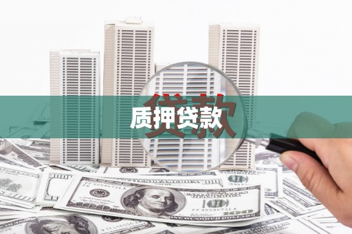 王益质押贷款