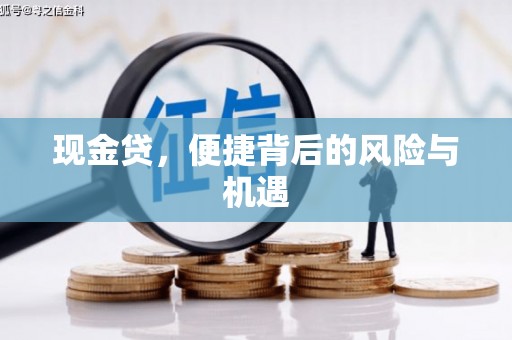 王益现金贷，便捷背后的风险与机遇