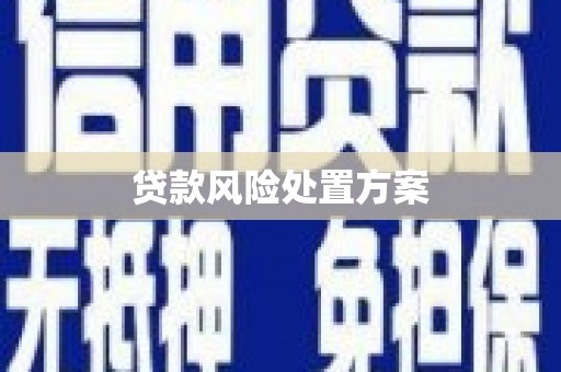王益贷款风险处置方案