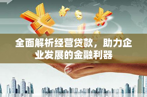 王益全面解析经营贷款，助力企业发展的金融利器