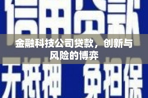 王益金融科技公司贷款，创新与风险的博弈