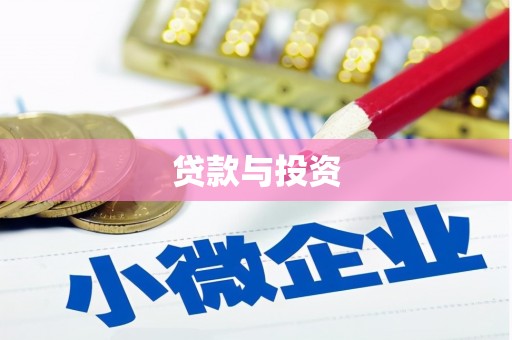 王益贷款与投资