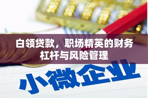 王益白领贷款，职场精英的财务杠杆与风险管理