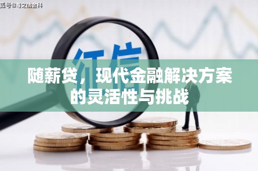 王益随薪贷，现代金融解决方案的灵活性与挑战