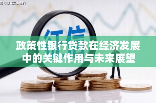 王益政策性银行贷款在经济发展中的关键作用与未来展望