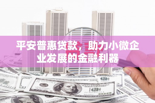王益平安普惠贷款，助力小微企业发展的金融利器