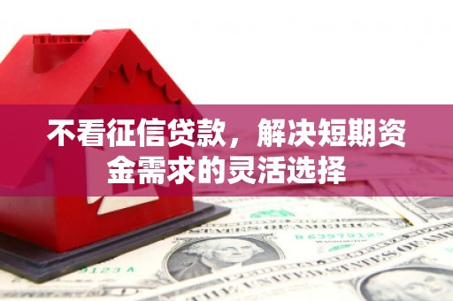 王益不看征信贷款，解决短期资金需求的灵活选择