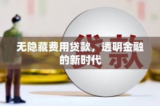 王益无隐藏费用贷款，透明金融的新时代