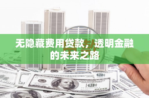 王益无隐藏费用贷款，透明金融的未来之路