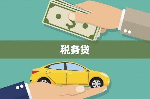 王益税务贷
