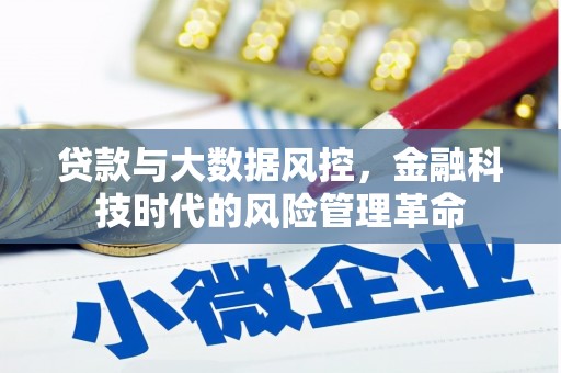 王益贷款与大数据风控，金融科技时代的风险管理革命