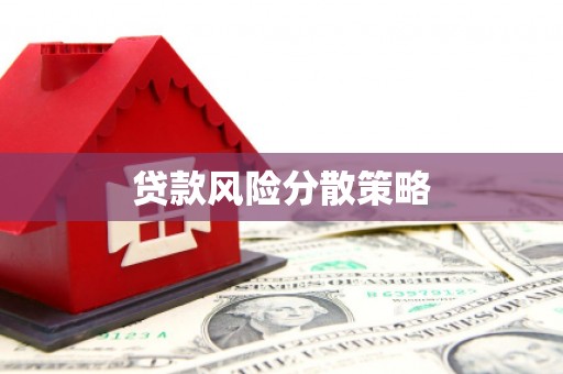 王益贷款风险分散策略