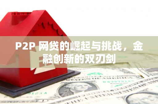 王益P2P 网贷的崛起与挑战，金融创新的双刃剑