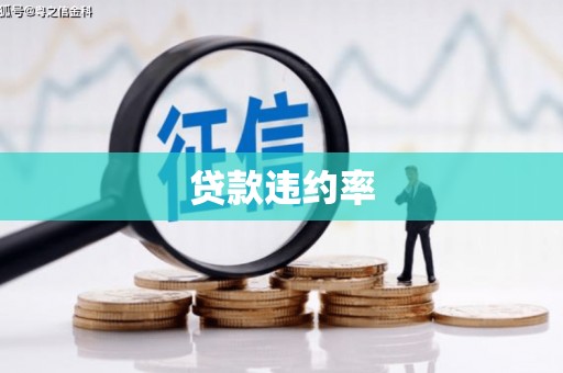 王益贷款违约率