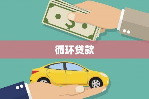 王益循环贷款