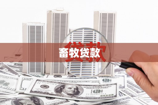 王益畜牧贷款