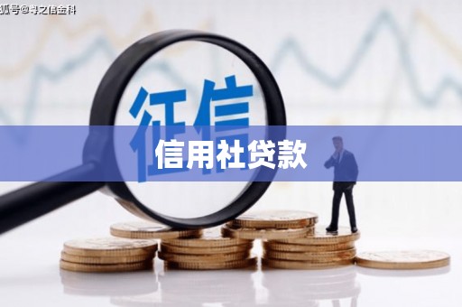王益信用社贷款
