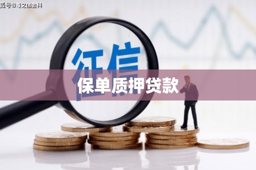 王益保单质押贷款