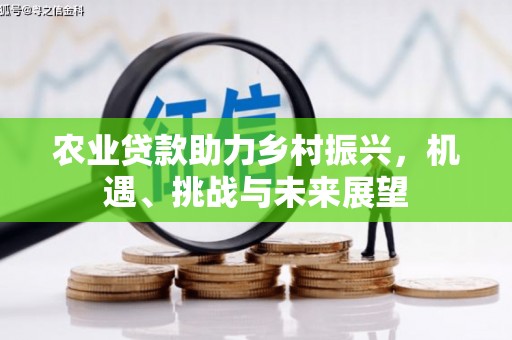 王益农业贷款助力乡村振兴，机遇、挑战与未来展望
