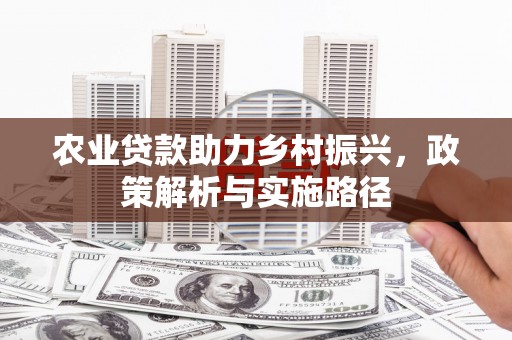王益农业贷款助力乡村振兴，政策解析与实施路径