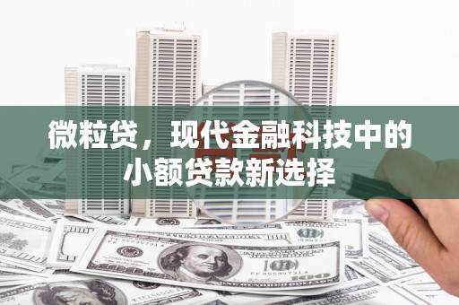 王益微粒贷，现代金融科技中的小额贷款新选择