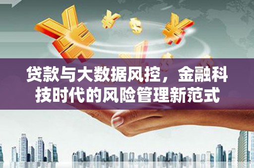 王益贷款与大数据风控，金融科技时代的风险管理新范式