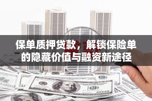 王益保单质押贷款，解锁保险单的隐藏价值与融资新途径