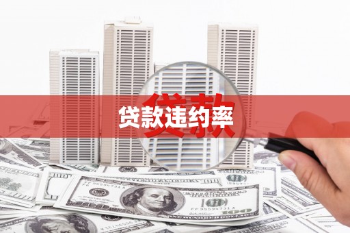 王益贷款违约率