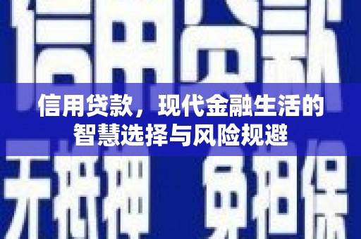 王益信用贷款，现代金融生活的智慧选择与风险规避