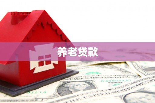 王益养老贷款