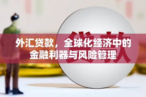 王益外汇贷款，全球化经济中的金融利器与风险管理