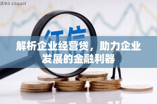 王益解析企业经营贷，助力企业发展的金融利器