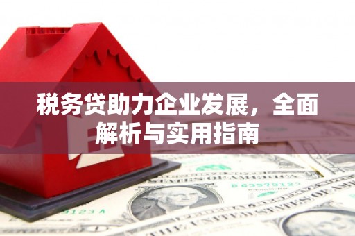 王益税务贷助力企业发展，全面解析与实用指南